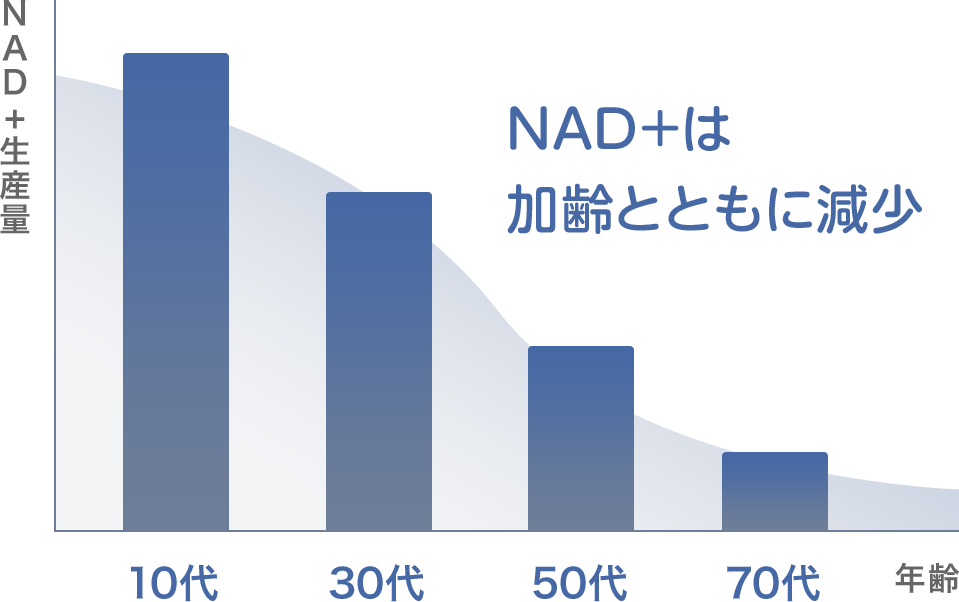 NAD+は加齢とともに劇的に減少