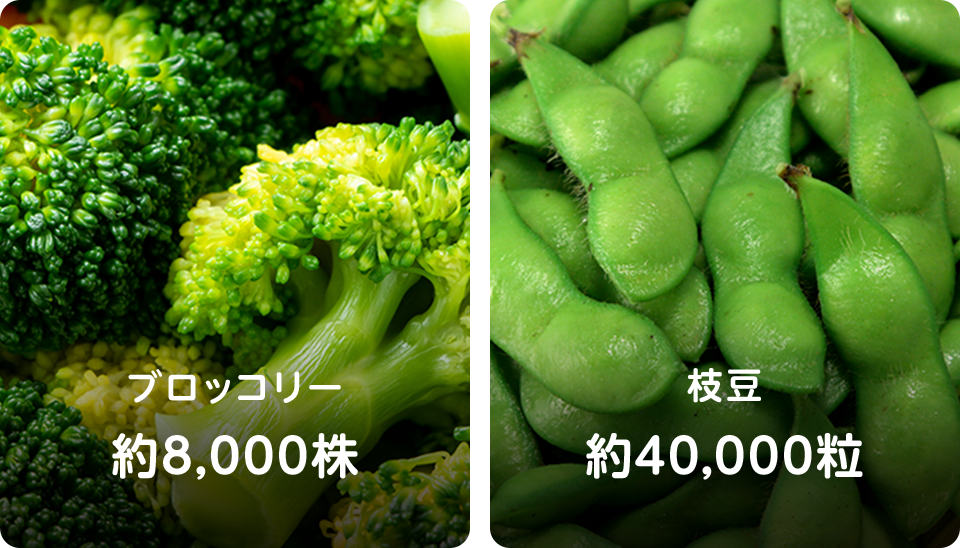 ブロッコリーと枝豆