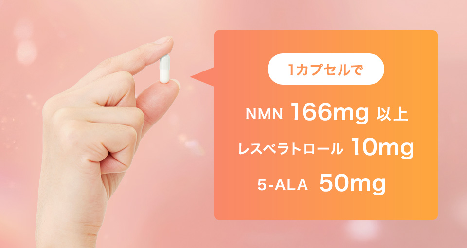 1カプセル当たり NMN166mg以上 レスベラトロール10mg 5-ALA50mg
